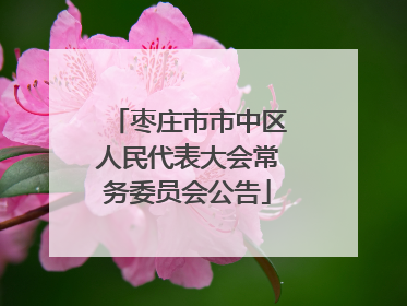枣庄市市中区人民代表大会常务委员会公告