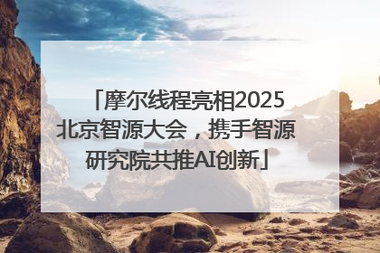 摩尔线程亮相2025北京智源大会，携手智源研究院共推AI创新