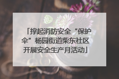 撑起消防安全“保护伞”杨园街道柴东社区开展安全生产月活动