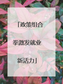 政策组合拳激发就业新活力