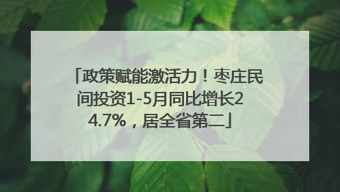 政策赋能激活力！枣庄民间投资1-5月同比增长24.7%，居全省第二