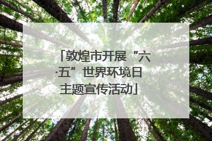 敦煌市开展“六·五”世界环境日主题宣传活动