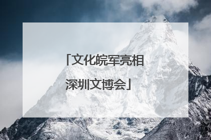 文化皖军亮相深圳文博会