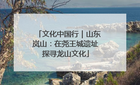 文化中国行｜山东岚山：在尧王城遗址探寻龙山文化