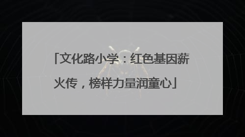 文化路小学：红色基因薪火传，榜样力量润童心