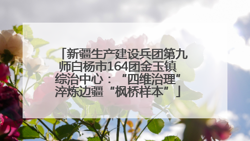 新疆生产建设兵团第九师白杨市164团金玉镇综治中心：“四维治理”淬炼边疆“枫桥样本”