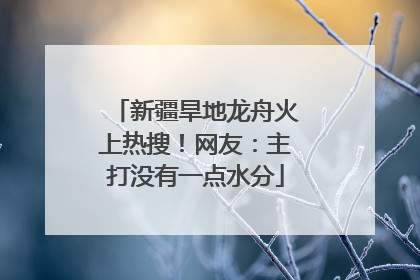 新疆旱地龙舟火上热搜！网友：主打没有一点水分