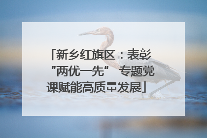 新乡红旗区：表彰 “两优一先” 专题党课赋能高质量发展