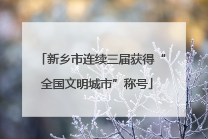 新乡市连续三届获得“全国文明城市”称号