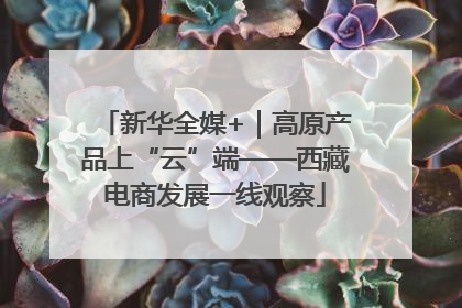 新华全媒+｜高原产品上“云”端——西藏电商发展一线观察
