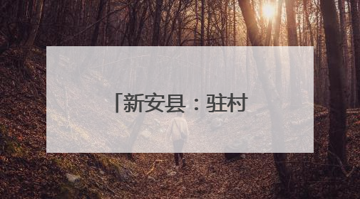 新安县：驻村书记助力“三夏”抢收抢种