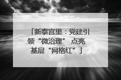 新泰宫里：党建引领“微治理” 点亮基层“网格红”