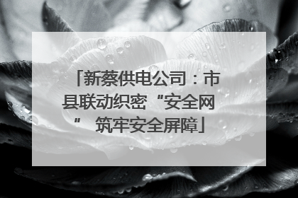 新蔡供电公司：市县联动织密“安全网” 筑牢安全屏障