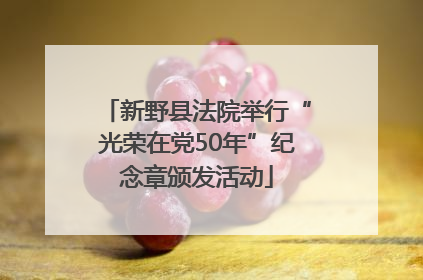 新野县法院举行“光荣在党50年”纪念章颁发活动
