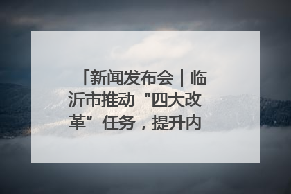 新闻发布会｜临沂市推动“四大改革”任务，提升内部审计监督效能