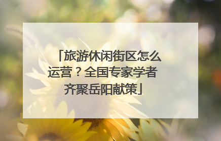 旅游休闲街区怎么运营？全国专家学者齐聚岳阳献策