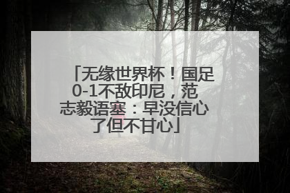 无缘世界杯！国足0-1不敌印尼，范志毅语塞：早没信心了但不甘心