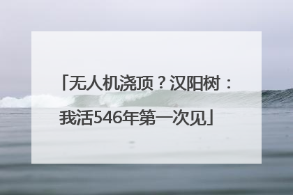 无人机浇顶？汉阳树：我活546年第一次见
