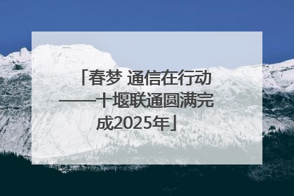 春梦 通信在行动——十堰联通圆满完成2025年