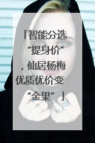智能分选“提身价”，仙居杨梅优质优价变“金果”