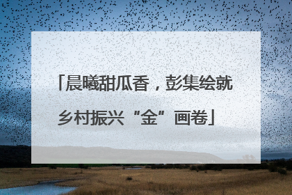 晨曦甜瓜香，彭集绘就乡村振兴“金”画卷