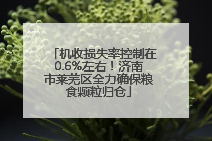 机收损失率控制在0.6%左右！济南市莱芜区全力确保粮食颗粒归仓