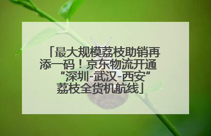 最大规模荔枝助销再添一码！京东物流开通“深圳-武汉-西安” 荔枝全货机航线