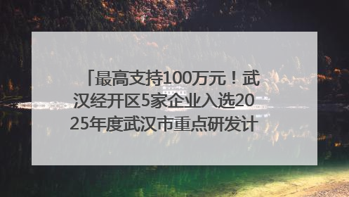 最高支持100万元！武汉经开区5家企业入选2025年度武汉市重点研发计划拟立项项目名单