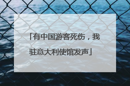 有中国游客死伤，我驻意大利使馆发声
