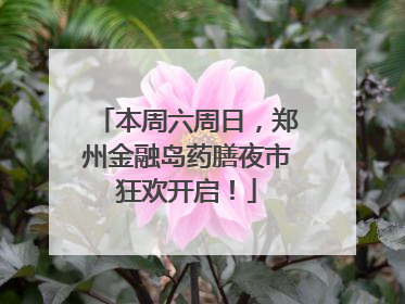 本周六周日，郑州金融岛药膳夜市狂欢开启！