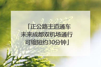 正公路主道通车 未来成都双机场通行可缩短约30分钟