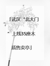 武汉“北大门”上线35座木质售卖亭