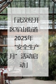 武汉经开区军山街道2025年“安全生产月”活动启动