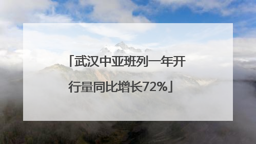 武汉中亚班列一年开行量同比增长72%