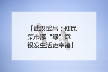 武汉武昌：便民集市添“绿”意 银发生活更幸福