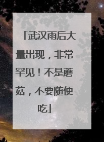 武汉雨后大量出现，非常罕见！不是蘑菇，不要随便吃