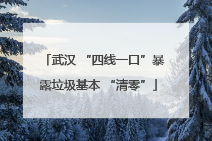 武汉 “四线一口”暴露垃圾基本 “清零”