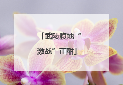 武陵腹地“激战”正酣