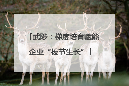 武陟：梯度培育赋能企业“拔节生长”