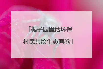 栀子园里话环保 村民共绘生态画卷