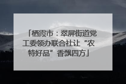 栖霞市：翠屏街道党工委领办联合社让“农特好品”香飘四方