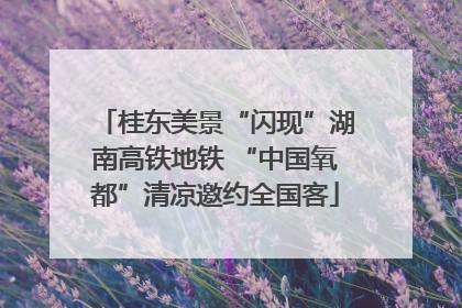 桂东美景“闪现”湖南高铁地铁 “中国氧都”清凉邀约全国客