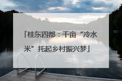 桂东四都：千亩“冷水米”托起乡村振兴梦