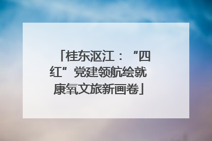 桂东沤江：“四红”党建领航绘就康氧文旅新画卷