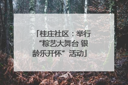 桂庄社区：举行“粽艺大舞台 银龄乐开怀”活动
