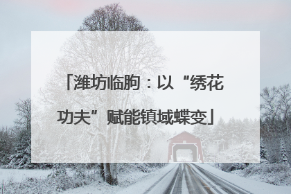 潍坊临朐：以“绣花功夫”赋能镇域蝶变