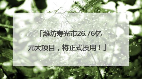 潍坊寿光市26.76亿元大项目，将正式投用！