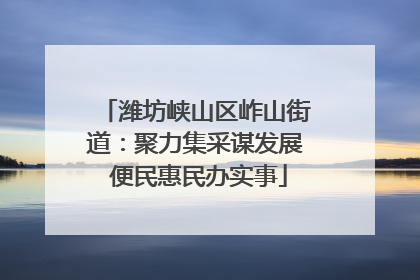 潍坊峡山区岞山街道：聚力集采谋发展 便民惠民办实事