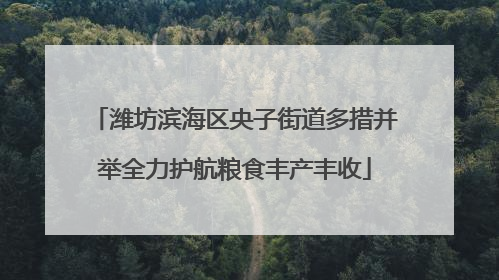 潍坊滨海区央子街道多措并举全力护航粮食丰产丰收