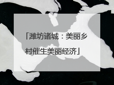 潍坊诸城：美丽乡村催生美丽经济